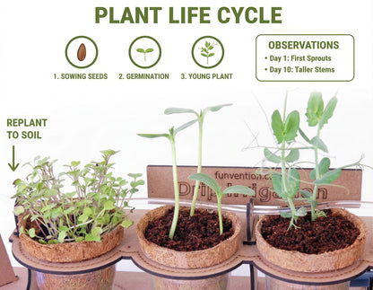 Drip Irrigation Kit for Kids | STEAM Learning School Project | Grow Real Plants with Drip System | Science Experiment Kit with Seeds & Soil | Age 5+