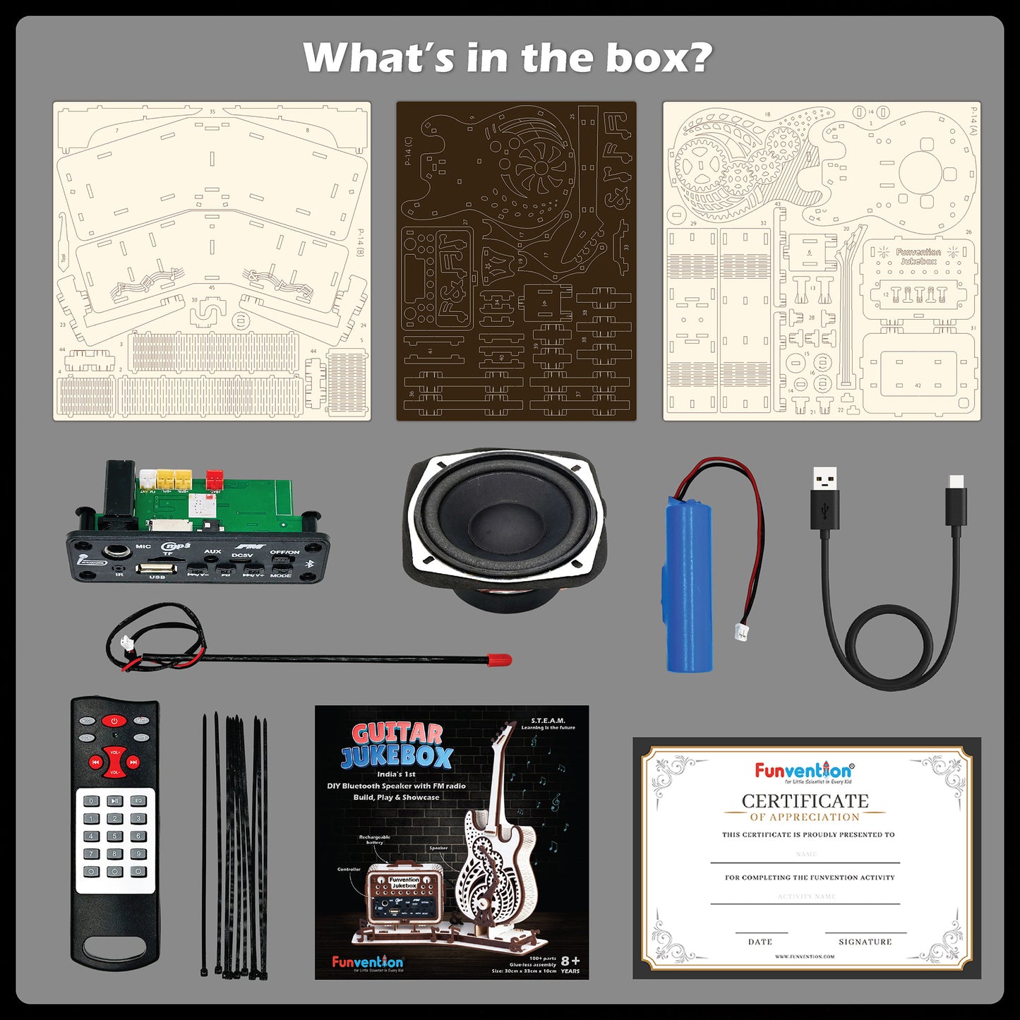 Guitar Jukebox DIY Bluetooth Speaker with FM Radio Kit for Kids (8+ Years) | STEAM Learning Utility Kit